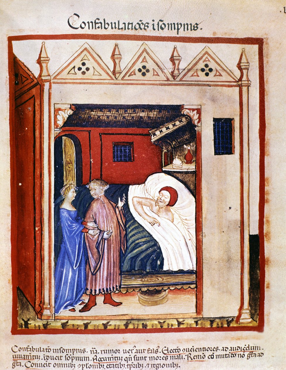 Avhandling om medisin "" Tacuinum sanitatis"" 1300-tallet: folk snakker under søvnen. 1300-tallet. B.N, Wien. av Unknown artist