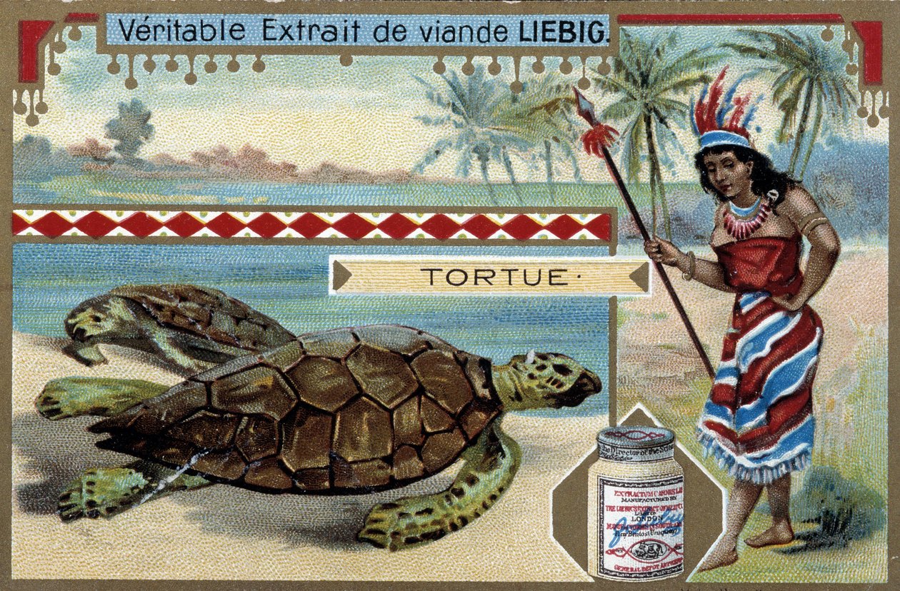 Skilpadde, med en kvinne kledd som en innfødt i Sør-Amerika, utstyrt med et jaktspyd - Liebig-kromolitografi av Unknown artist