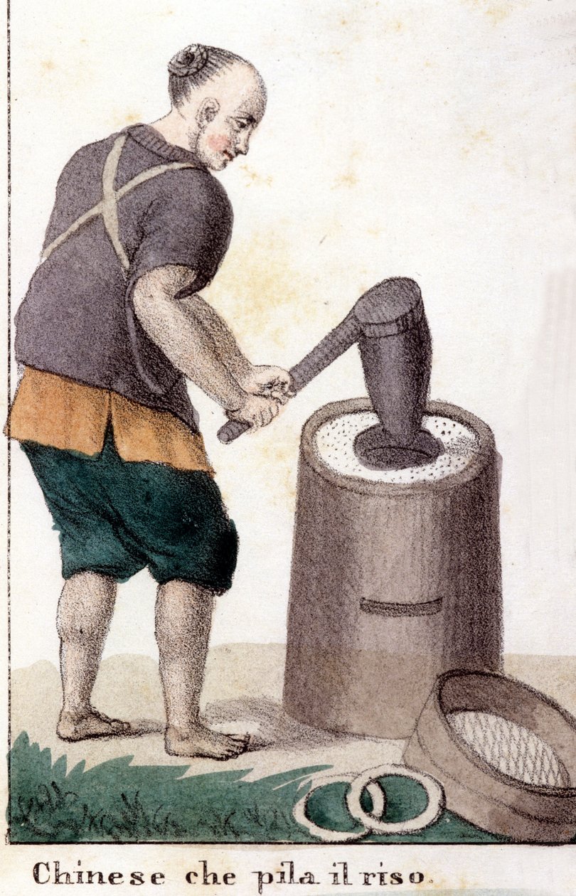 Un chinese qui pille le riz - i Den universelle drakten til alle verdens folk av Unknown artist