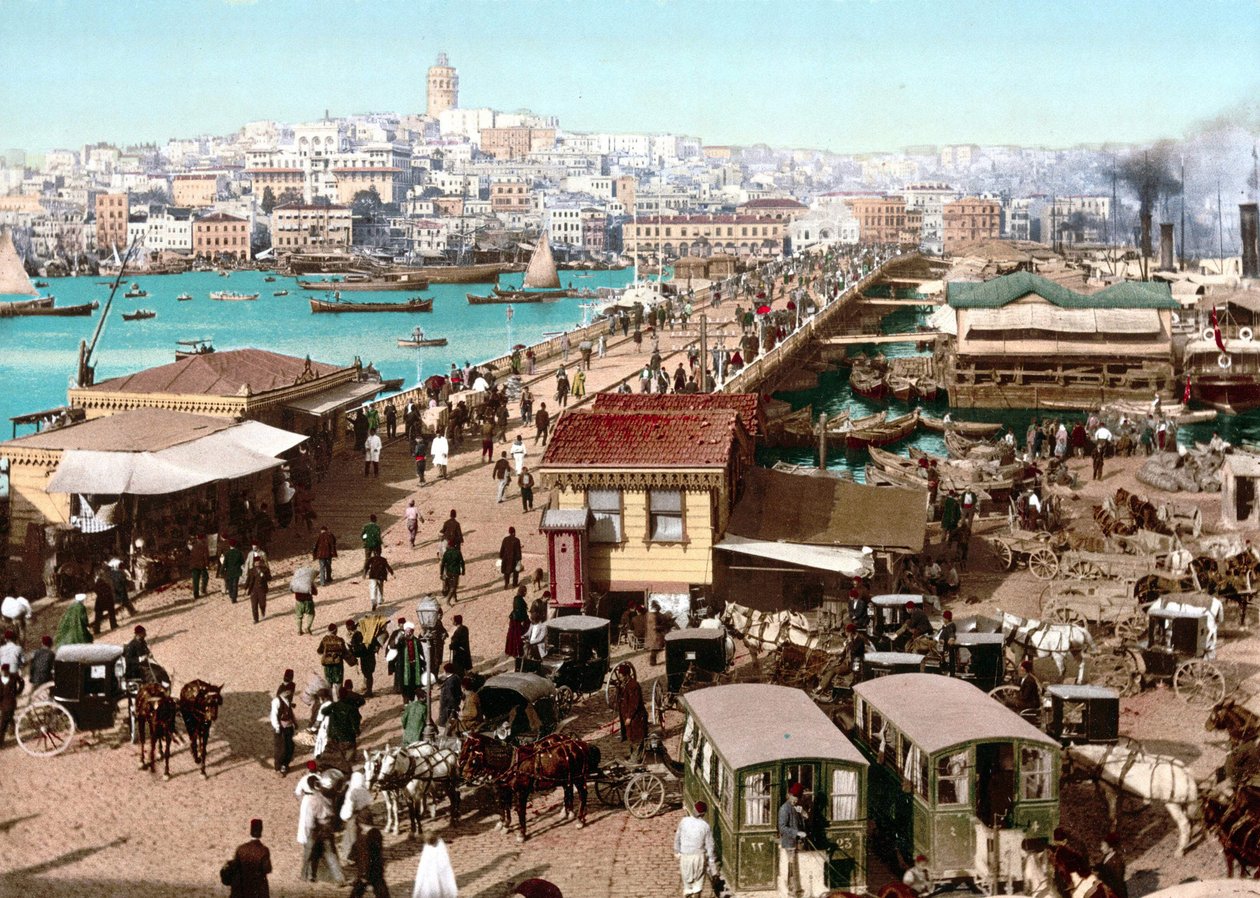 View of Constantinople. Photochrome v. 1890. av Unknown artist