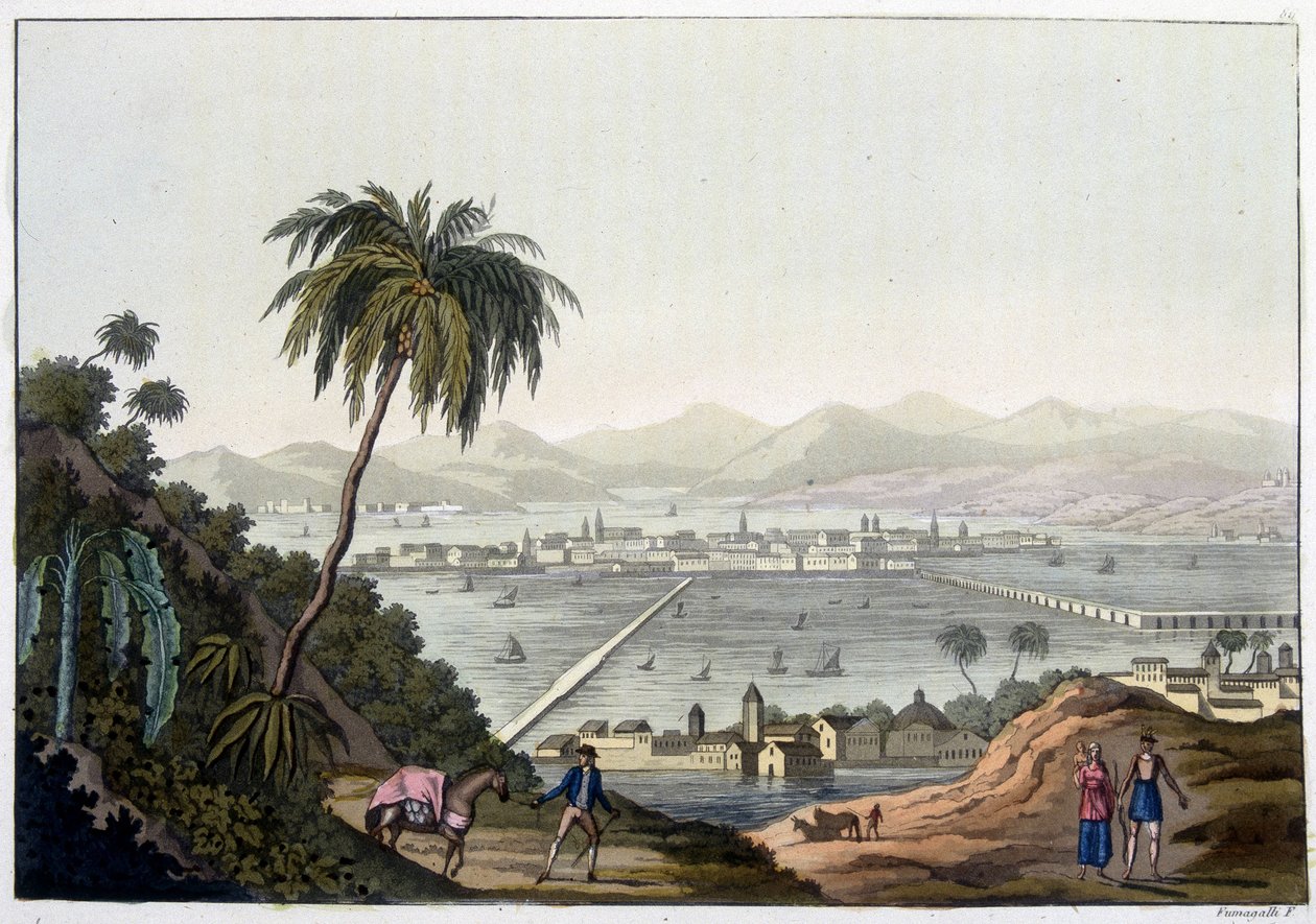 Utsikt over Mexico by, Mexico. I "" Le costume ancien et moderne"" av Unknown artist