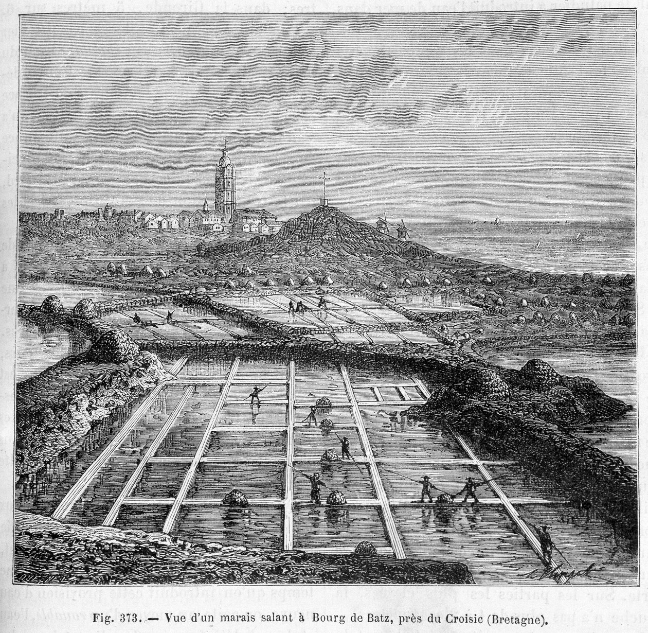 Utsikt over en saltmyr i Bourg de Batz, nær Croisic (Bretagne) - i "" Industriens underverk"" av Louis Figuier av Unknown artist