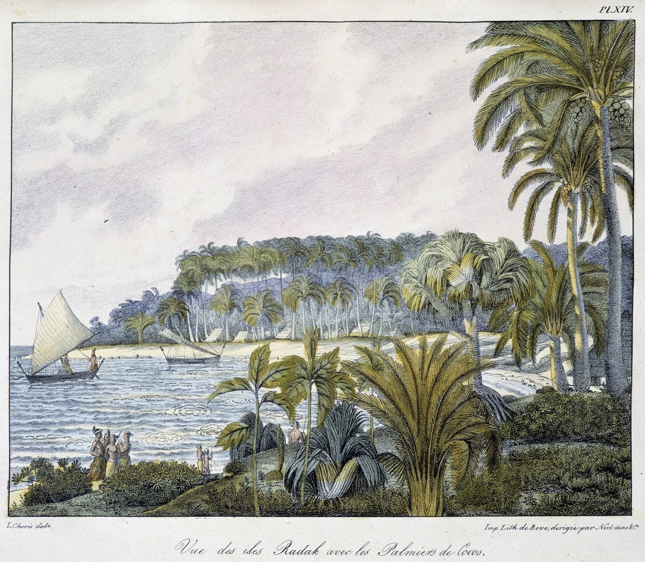Utsikt over Radak-øyene i skjærgården på Marshalløyene. av Unknown artist
