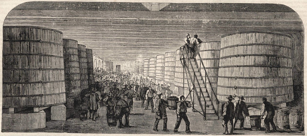 View of the cellar at the Chateau - Lafitte in 1860 av Unknown artist