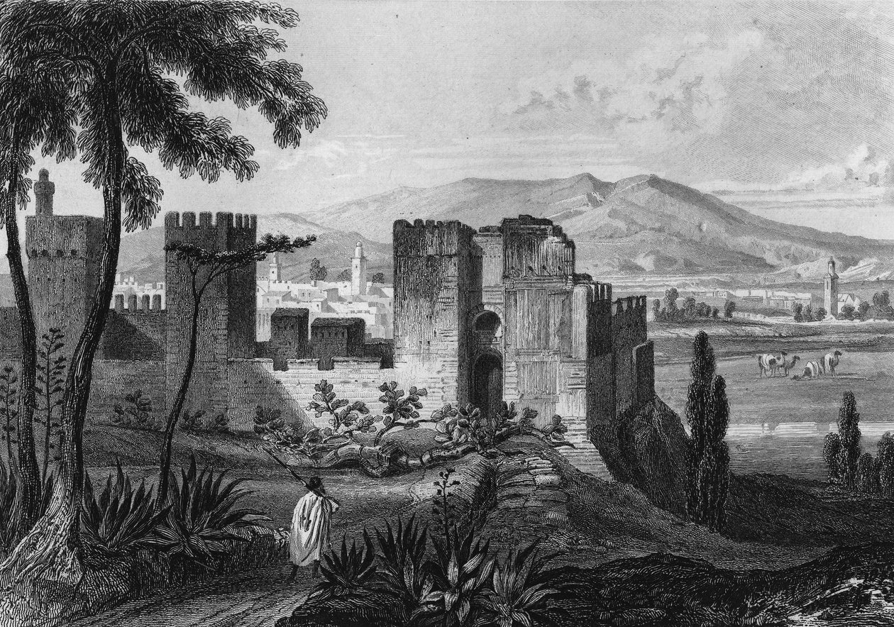 View of the enclosure of Tlemsen (or Tilimsen) in Algeria in the 19th century, in “” Algerie ancienne et moderne”” by Leon Galibert av Unknown artist