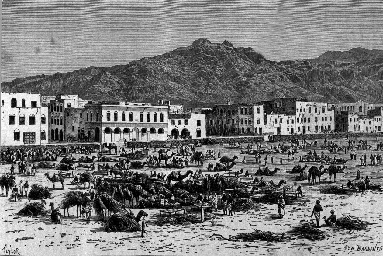 Utsikt over Aden-marsjen i Abessinia. Gravering rundt 1880 av Unknown artist