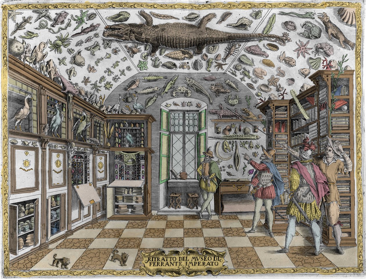 Utsikt over museet (kabinettet) av kuriositeter (leksikonmuseum) til farmasøyten Ferrante Imperato (1550 - 1631). Gravering fra 1678. Museum for den napolitanske apotekeren Ferrante Imperato. av Unknown artist
