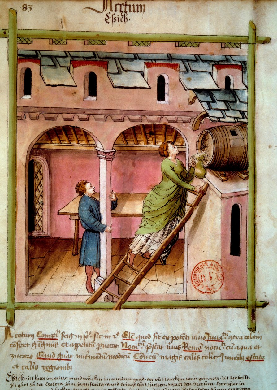 Eddik: en ung kvinne fyller en kanne. Belysning fra melking av medisin og diett "" Tacuinum sanitatis"" av Unknown artist