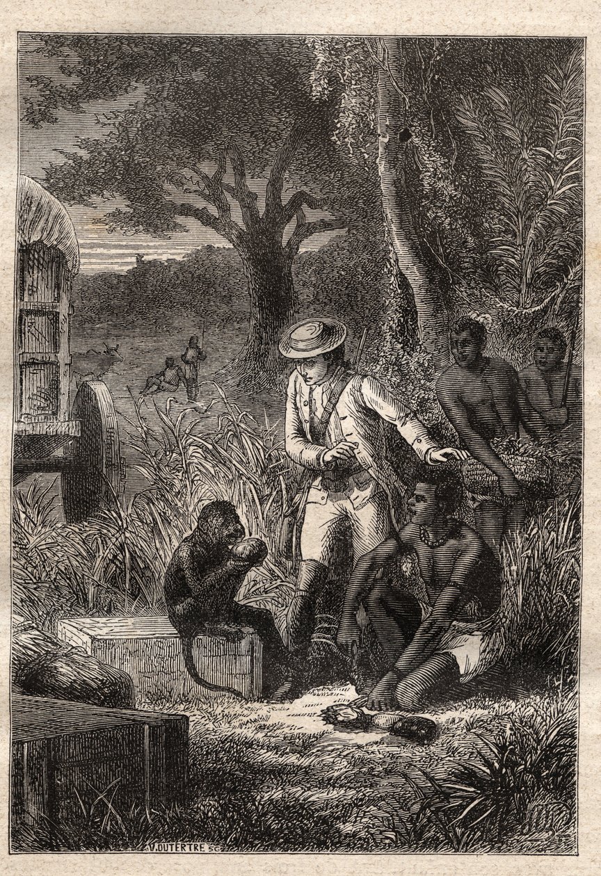 Voyage dans la Caffrerie (South Africa) (1781) by Francois Levaillant (Le Vaillant) (1753-1824): Levaillant and his monkey degustateur Maitre Kees, who tastes the fruits and roots in order to verify that they are edible - illustration taken from “” Les Gra av Unknown artist