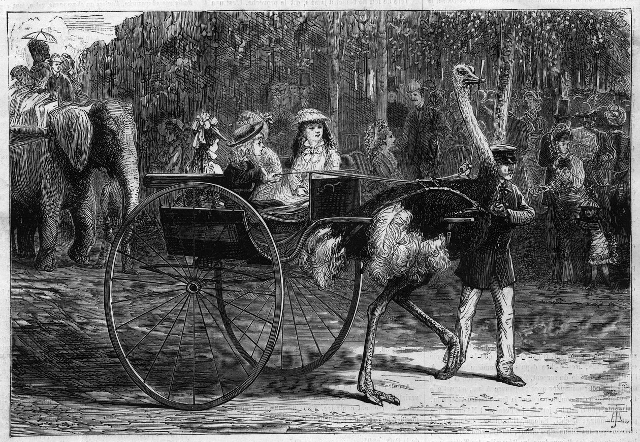 Gå på ryggen til en elefant og barn i en kariola dratt av østerrikere. Akklimatiseringshagen til Bois de Boulogne i Paris av Unknown artist