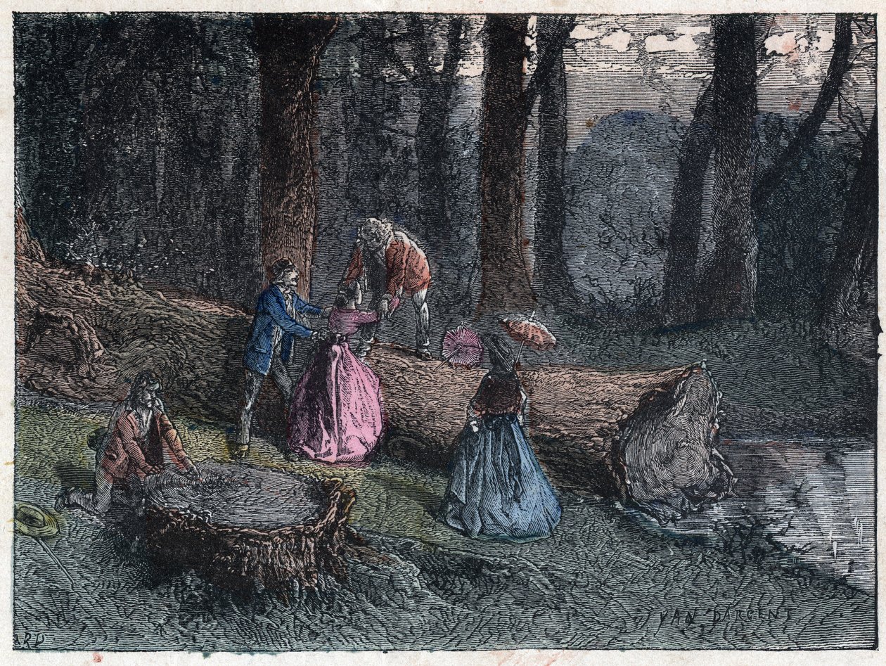 Turgåere prøver å beregne alderen til en død eik ved å studere treets stamme. Gravering sent på 1800-tallet. av Unknown artist