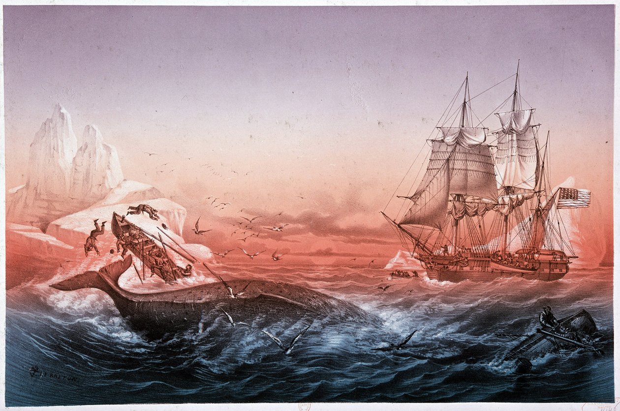 Hvalfangstfartøyet klarte ikke å redde sine hvalkantrede båter av Unknown artist