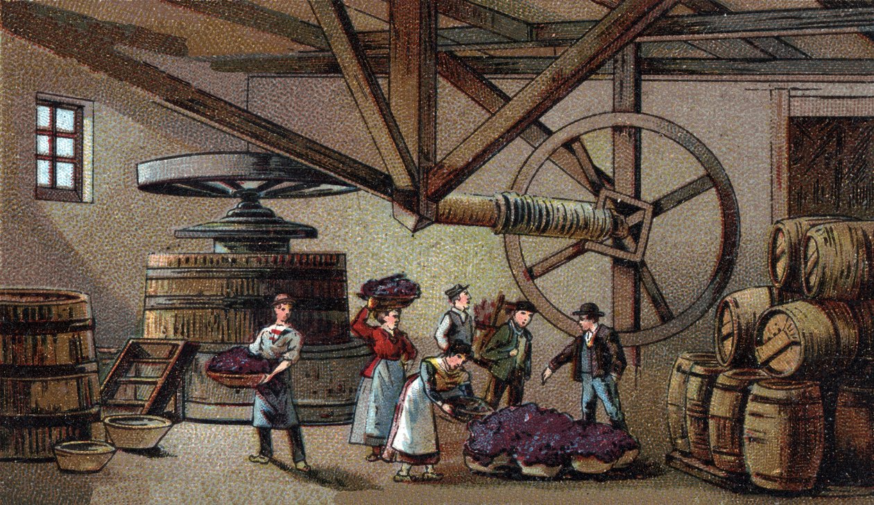 Vinproduksjon: vinpresse fra hospice Beaune (clos vougeot). Kromolitografi fra slutten av 1800-tallet av Unknown artist