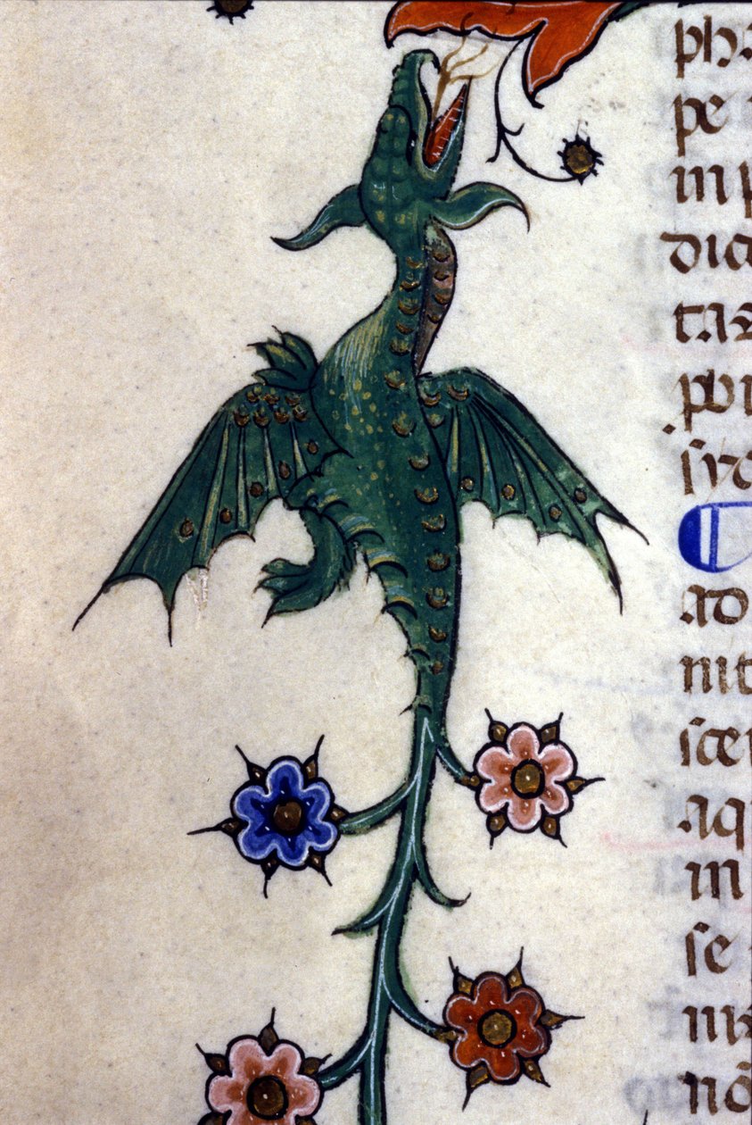 Bevinget drage, Caspic, på et manuskript fra 1300-tallet Milan, Biblioteca Nazionale Braidense. av Unknown artist