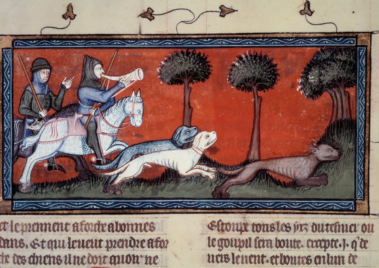 Wolf Hunt Miniature fra manuskript fr. 1297 "" bok av kong Modus og dronning Ratio" av Henri de Ferrieres (1300-tallet) av Unknown artist