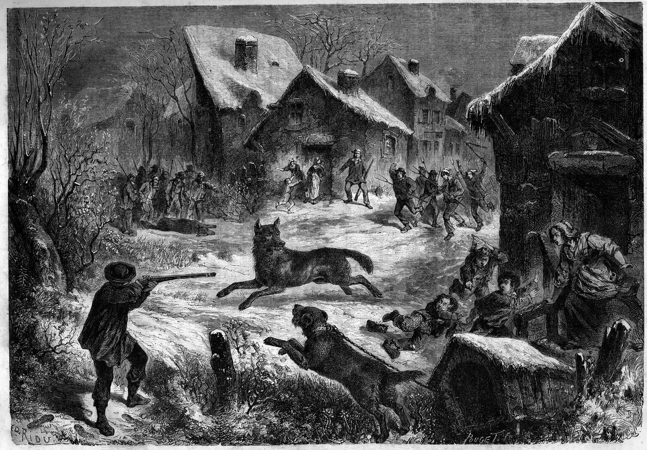 Wolf hunting in the village of Saliers, Bouches du Rhone (13), 31 December 1860. Engraving in “” Le Monde Illustré”” n¡196 of 12 January 1861. av Unknown artist