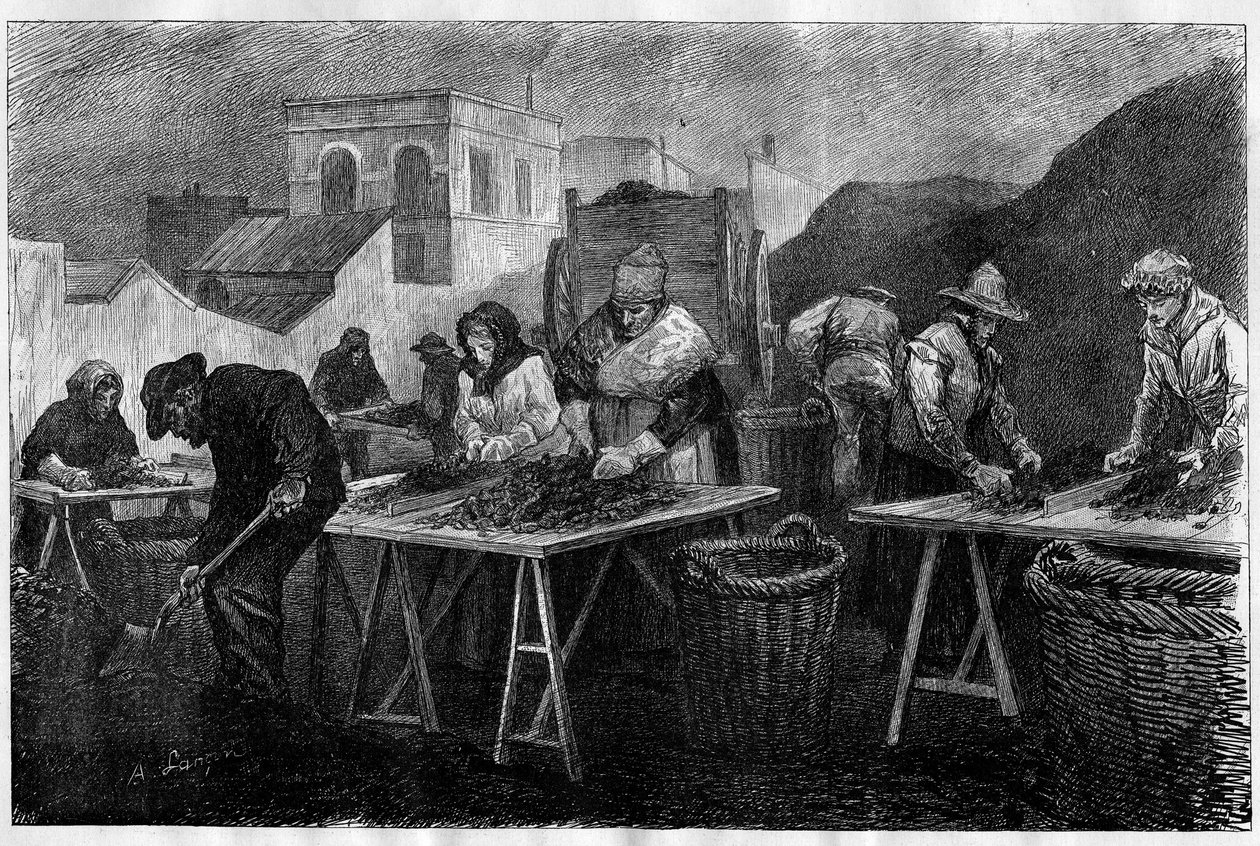 Arbeidere i Frankrike: Kokssorterere (variasjon av kull fra destillasjon av kull, brukt til oppvarming) i en gassfabrikk i Paris Gravering i "Le Monde Illustré"" av Unknown artist