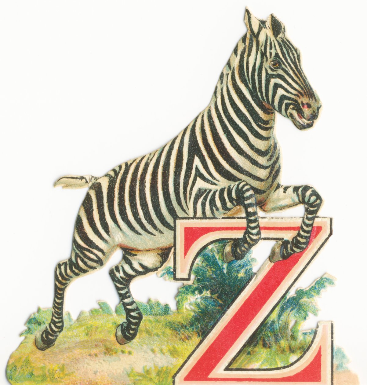 Fra: Zebra av Unknown artist