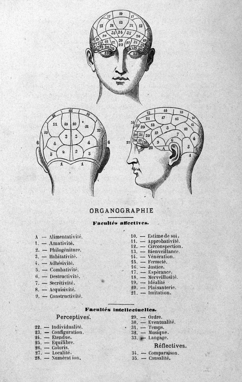 illustrasjon fra Charles Rouvins bok fra 1873 Organographie La Tête humaine, illustrerte studier av frenologi og fysionomi brukt på kjente karakterer Paris 1873 av Unknown artist