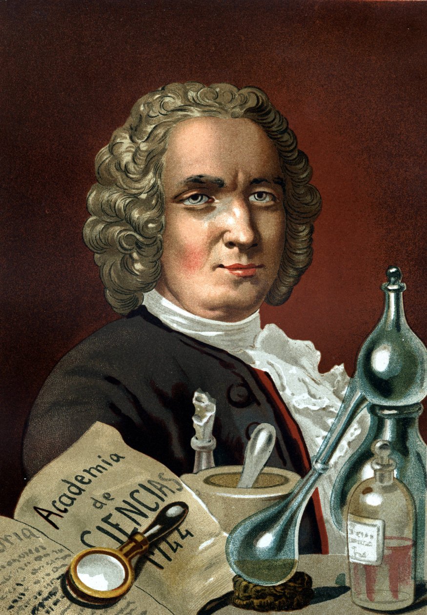 Portrett av Guillaume Francois Rouelle. Fransk kjemiker (Mathieu, nær Caen av Unknown artist
