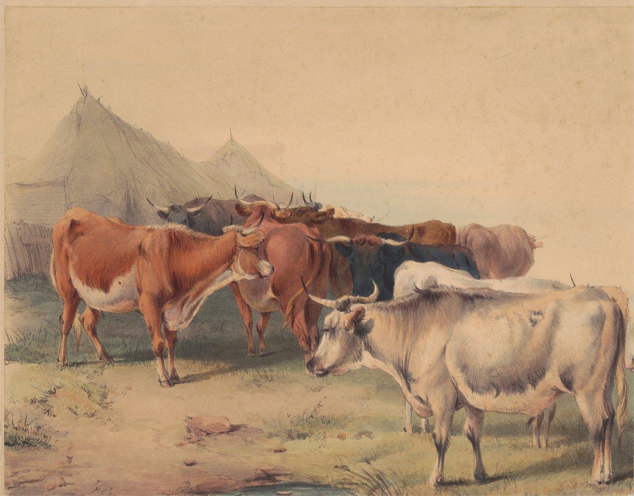 En flokk med storfe av Unknown artist