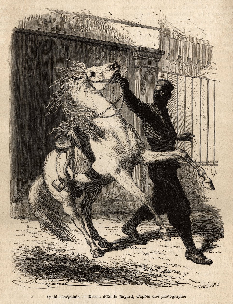 En senegalesisk spahi (cavalier) i Saint-Louis (Saint Louis). Gravering for å illustrere et cruise på kysten av Afrika, av viseadmiral Fleuriot de Langle, i 1868, publisert i "" Le tour du monde""" 1872, redigert av Edouard Charton, utgave Hachette, Paris. av Unknown artist