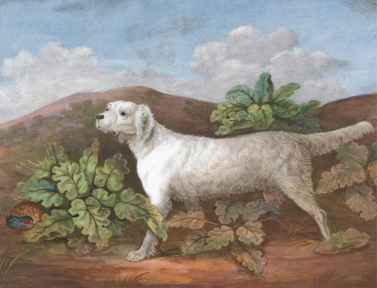 En setter: Venstre mot venstre, med en rapphøne som gjemmer seg blant burdokker til venstre av Unknown artist
