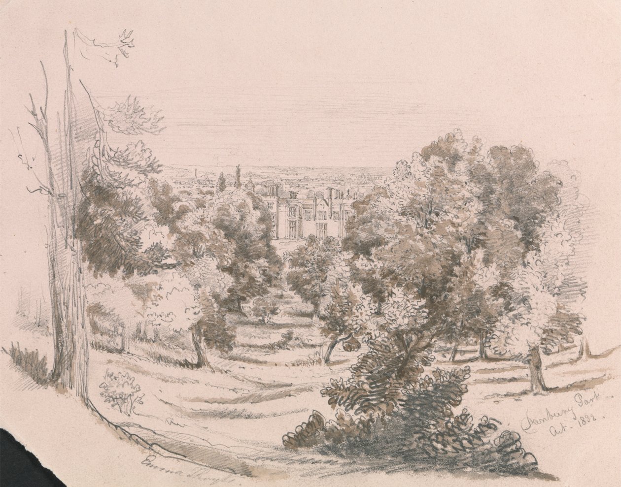 Utsikt over Danbury Park av Unknown artist