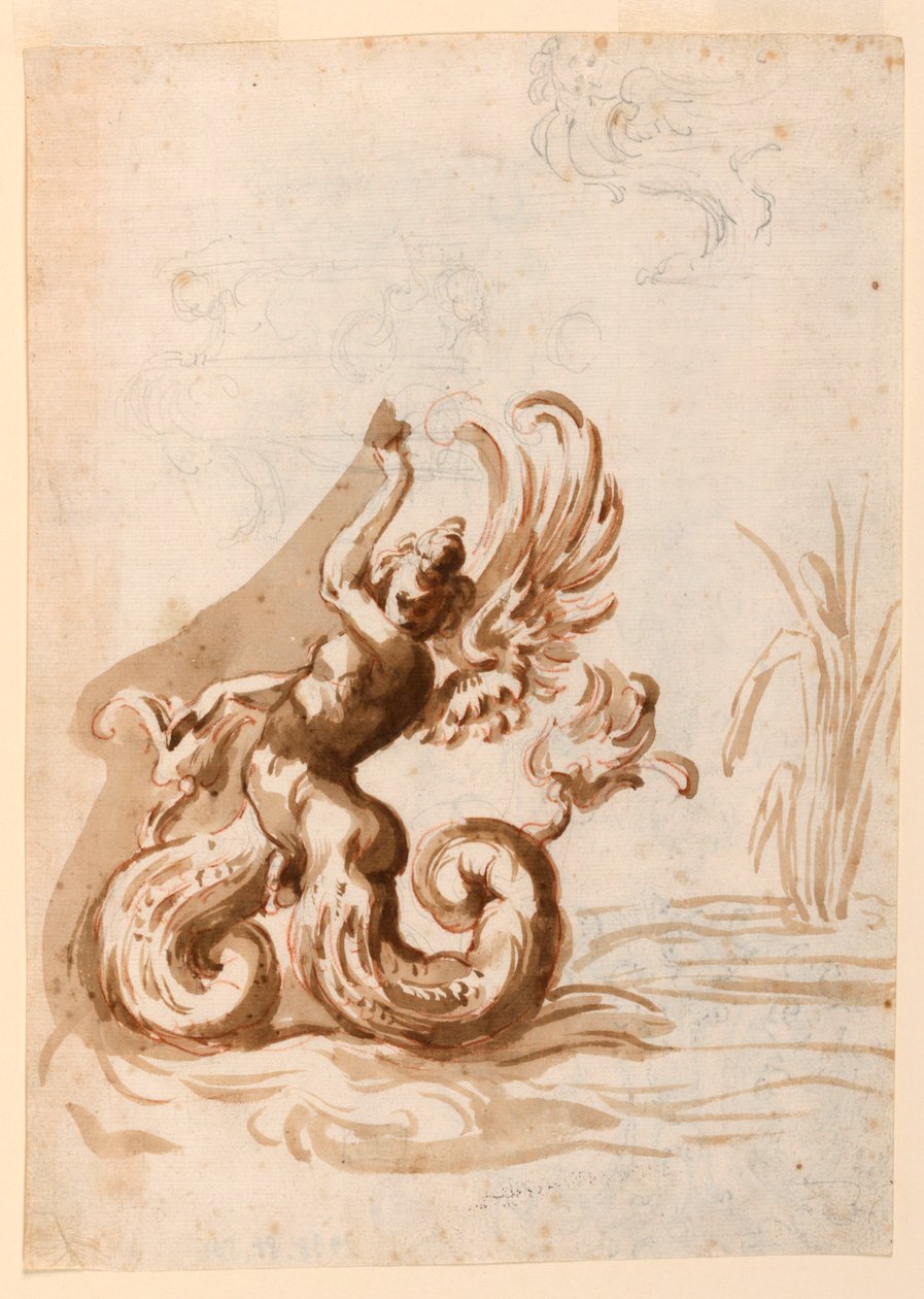 En bevinget Mer Hermafroditt og skisser for en bolle av Unknown artist