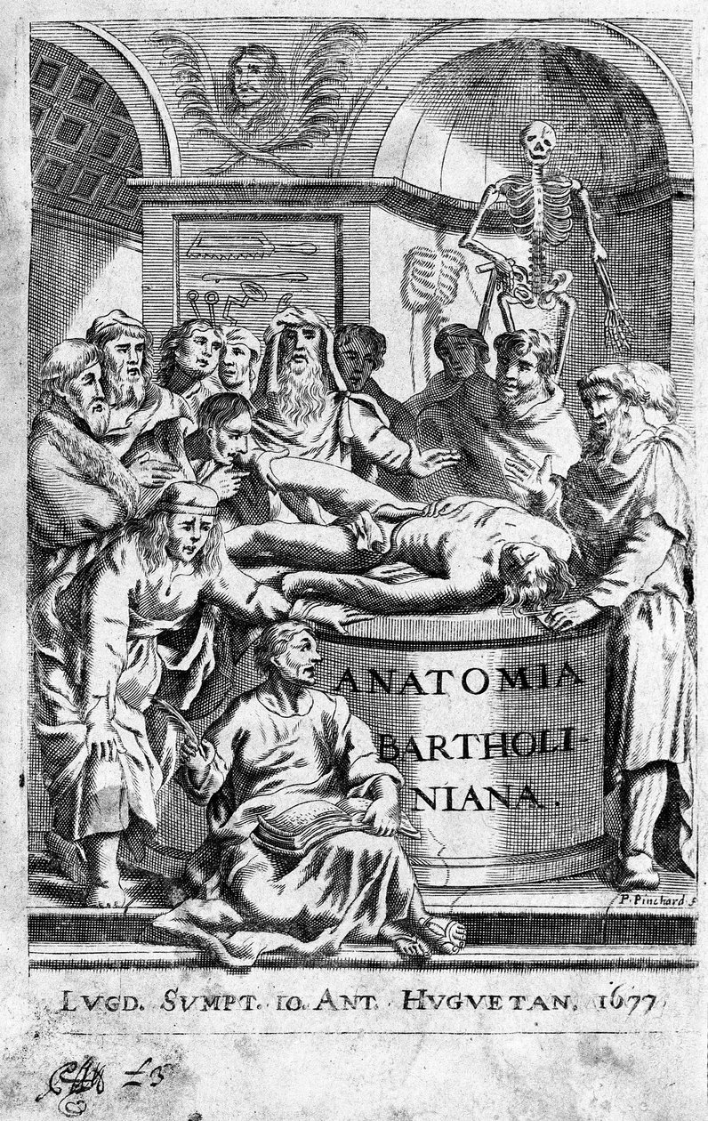 En lecon of anatomy Frontispice henter fra "Anatomia Reformata"" av Thomas Bartholin (1616-80) (Bartholinus) 1677 av Unknown artist