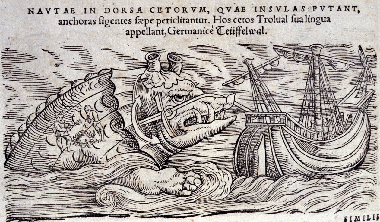 En hval forvekslet med en øy. To personer tenner bål på baksiden av et marinemonster. Gravering n Historia Animalium av Conrad Gesner (1516-1565), Tiguri av Unknown artist