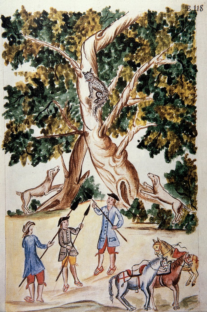 En villkatt setter seg på et tre, jegere venter på den, fra boken "Trujillo del Peru" eller "Codex Martinez Companion", av Baltazar Martinez Companion og Bujanda, biskop av Trujillo (1782-1785) av Unknown artist