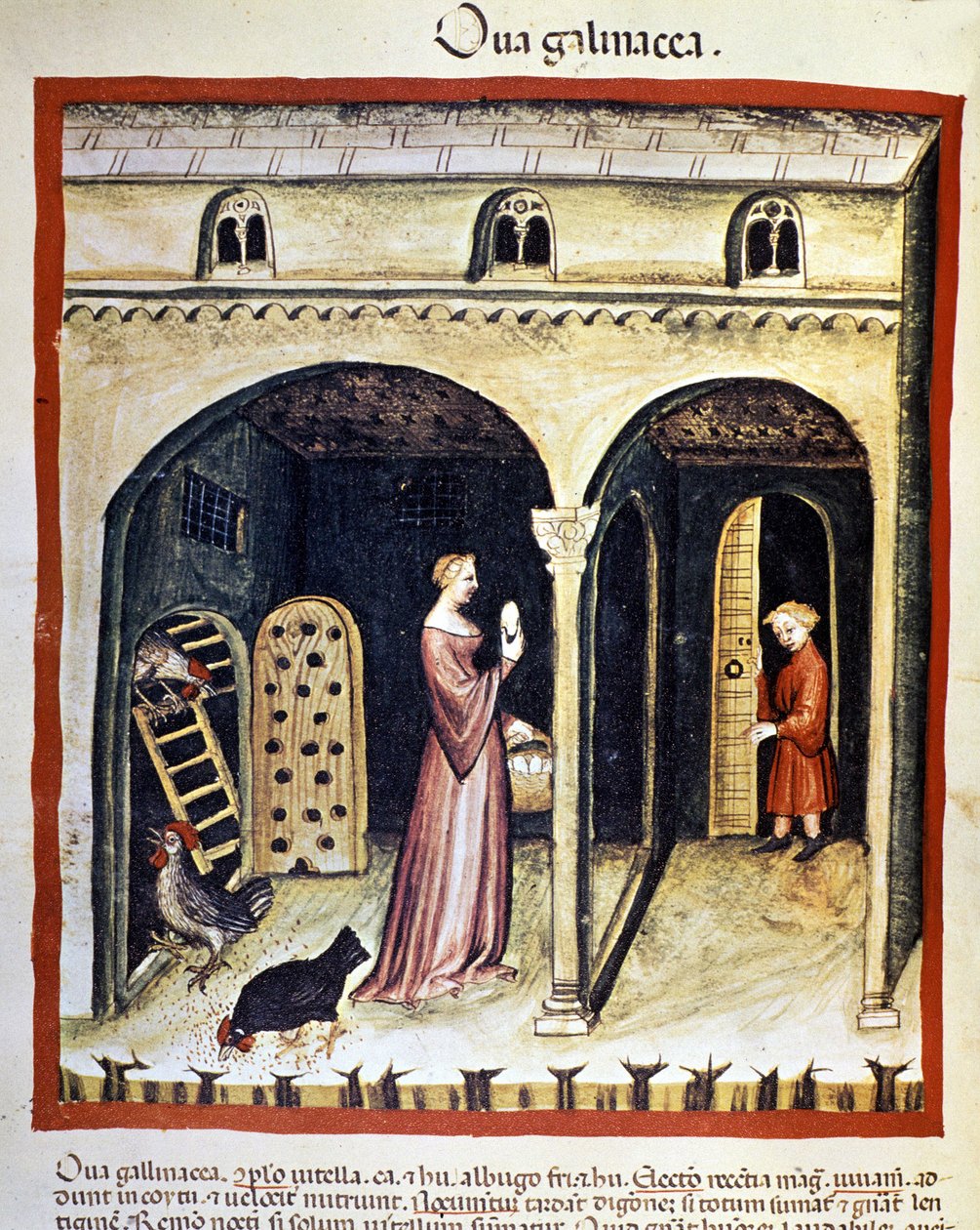 En ung kvinne plukker opp kyllingegg. Belysning fra melking av medisin og diett "" Tacuinum sanitatis"" av Unknown artist