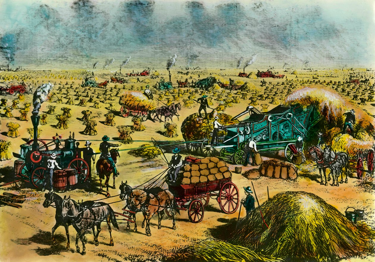 Landbruksrevolusjon: høst hvete i Dakota med dampmaskiner på 1800-tallet. Gravering av 1800-tallet. Paris, dekorativ kunst av Unknown artist