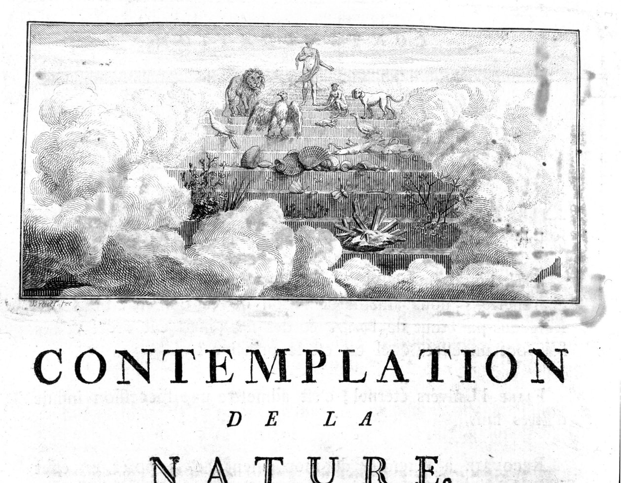 Allegorisk representasjon av utviklingen av Man of minerals, passerer gjennom plante- og dyrearter Charles Bonnet, Contemplation of Nature, Neuchatel av Unknown artist