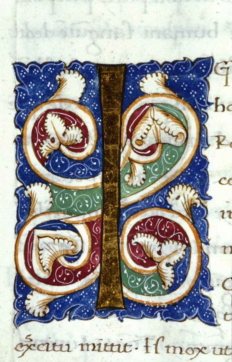 Alfabet: miniatyrbokstav I av Unknown artist