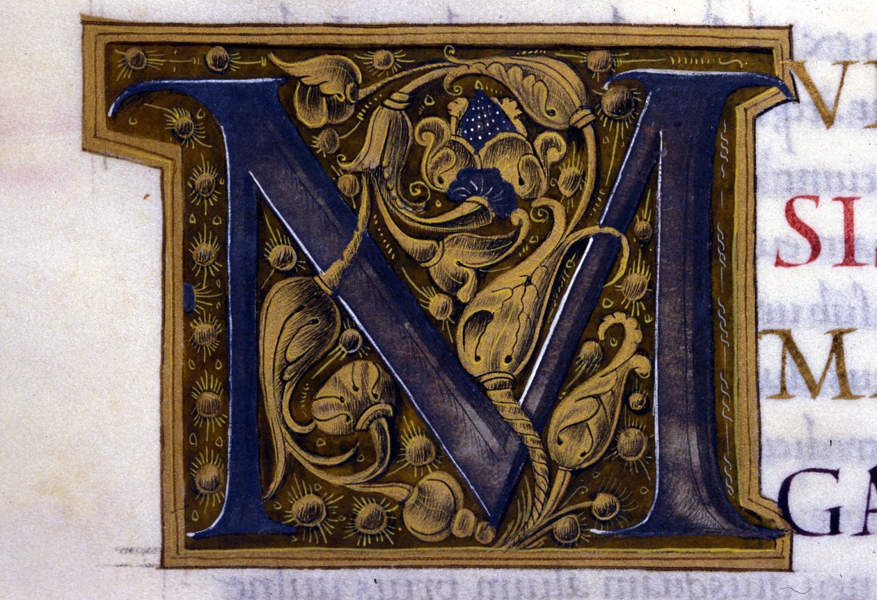 Alfabet: miniatyrert bokstav M av Unknown artist
