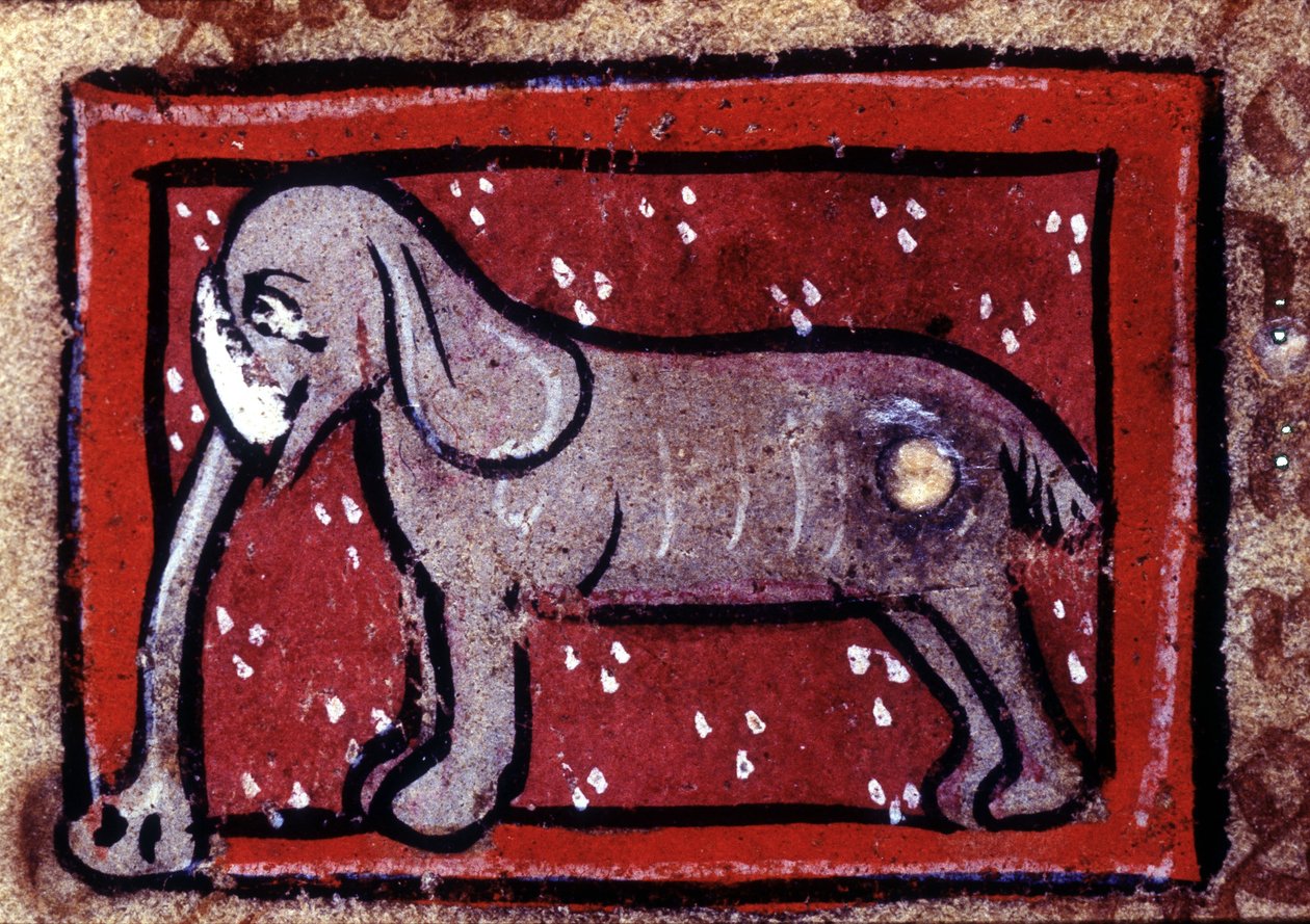 En elefant - bestiary fra 1300-tallet. Milano, Biblioteca Trivulziana. av Unknown artist