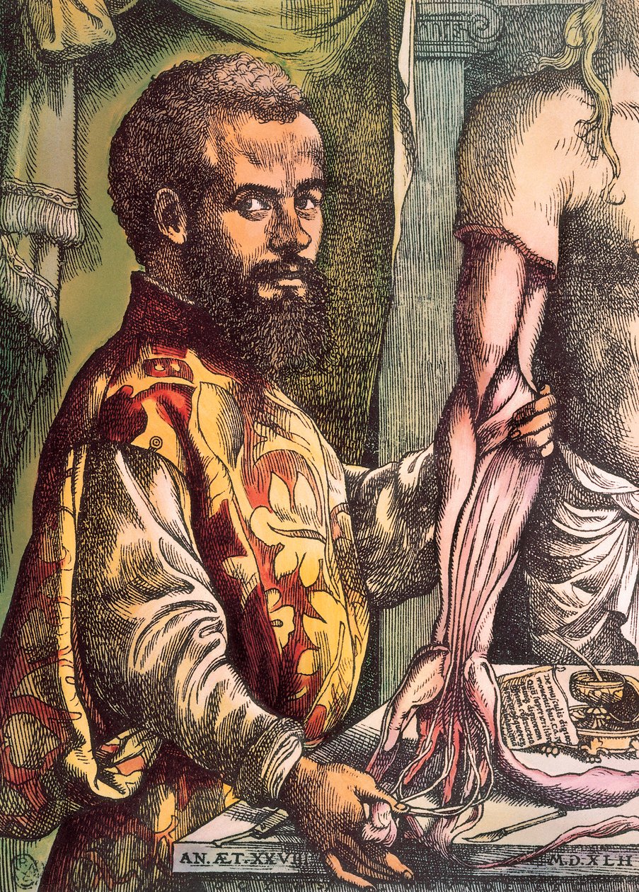 Andreas Vesalius (Gravering av Unknown artist