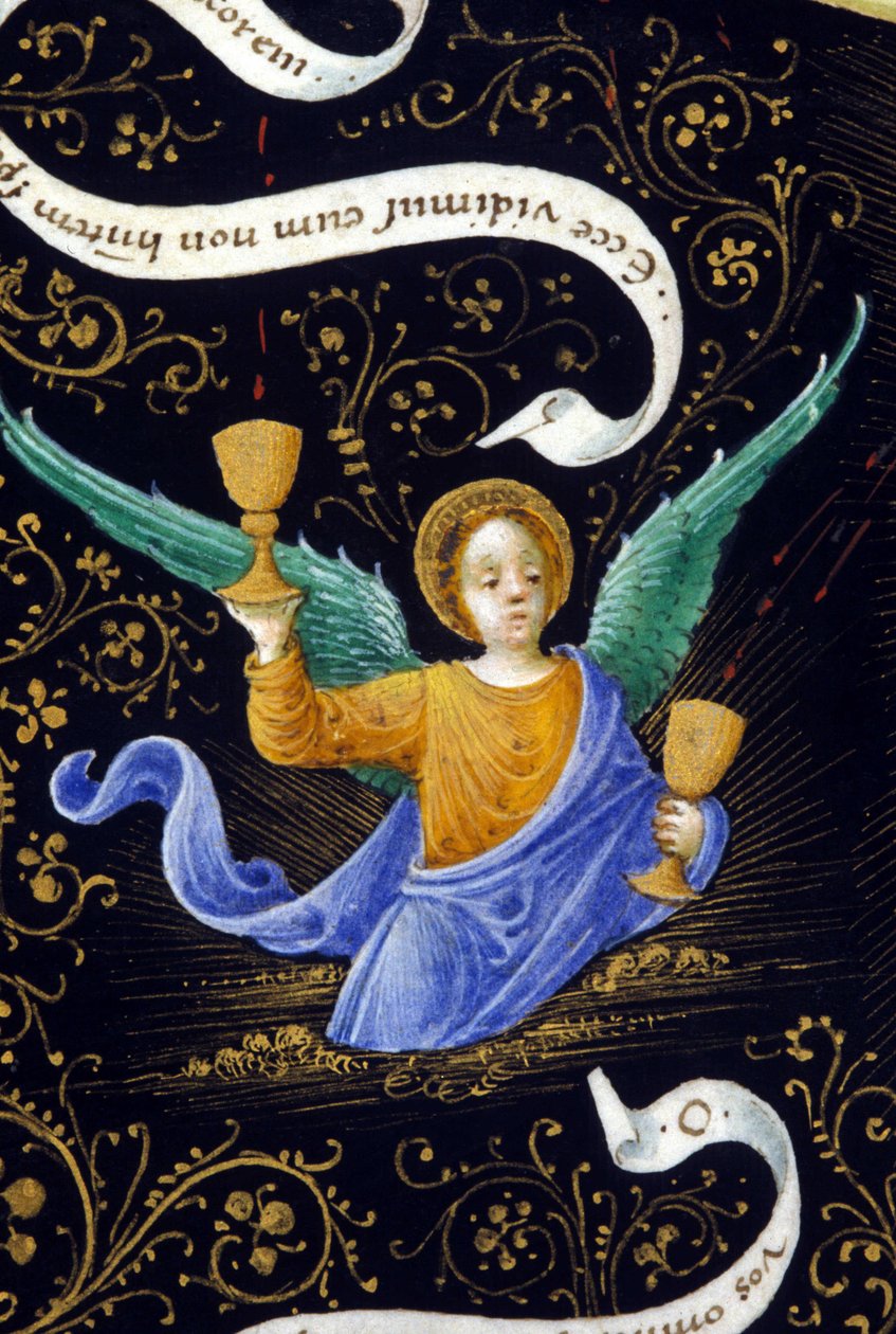 Engel som holder to kalk. Miniatyr av Belbello da Pavia av Unknown artist
