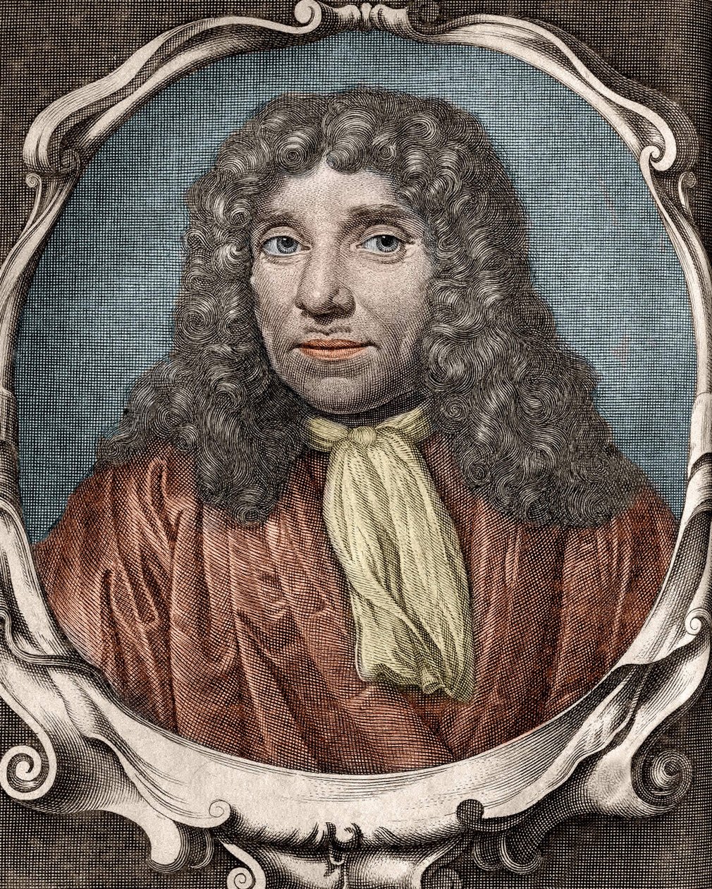 Anthony Van Leeuwenhoek eller Anton van Leeuwenhoek, eller Leeuwenhoek, eller Leeuwenhoeck.Nederlandsk naturforsker (1632 til 1723). 1700-talls gravering av Unknown artist