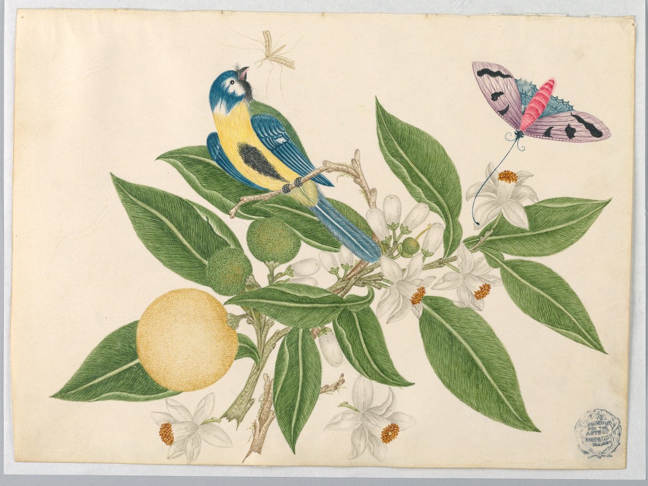 Fugl på en oransje gren, med sommerfugl av Unknown artist