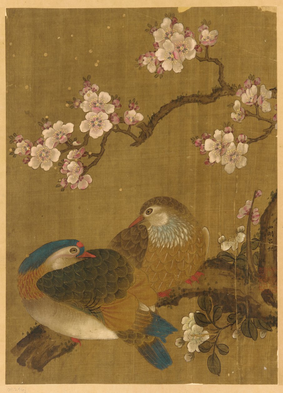 Fugler og plommeblomster av Unknown artist