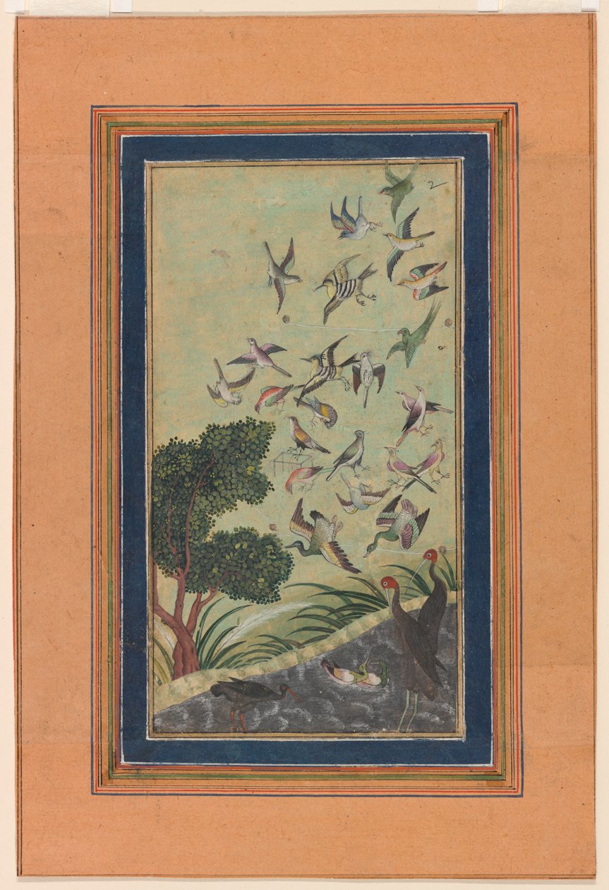 Fugler ved Baran, muligens fra Babur-nama av Unknown artist