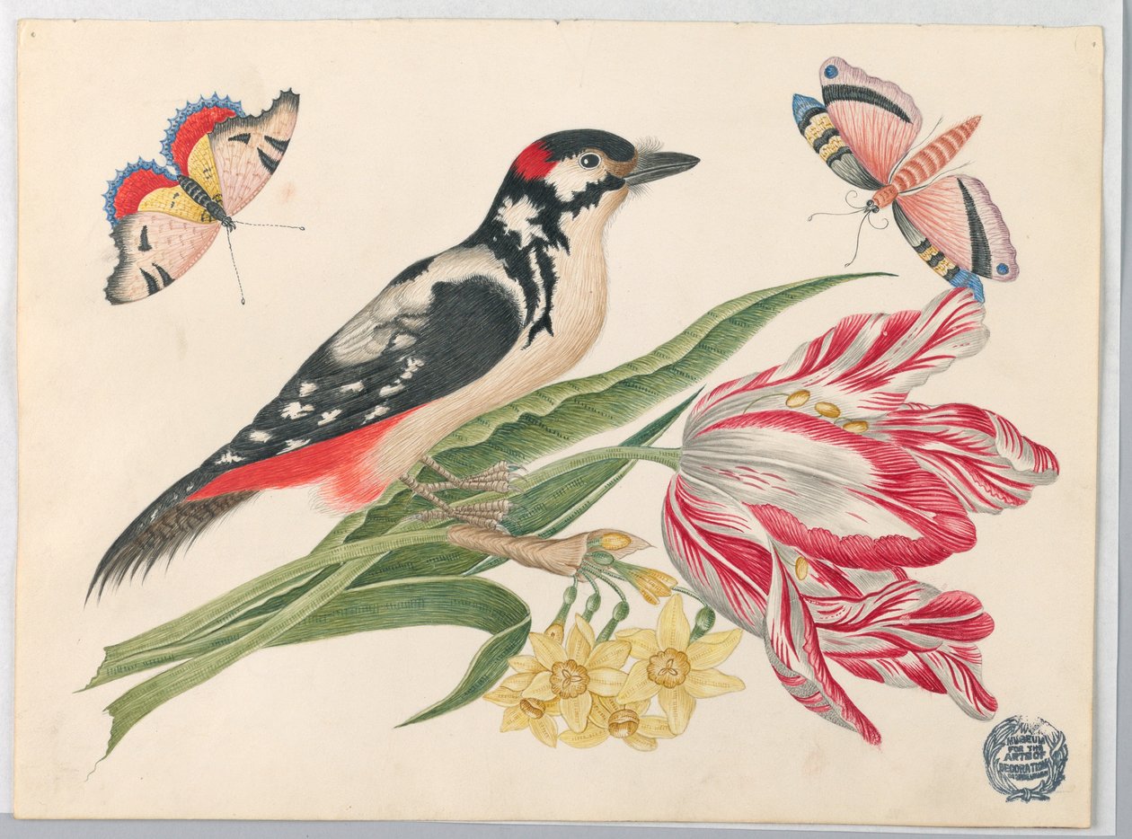Svart-hvitt flekket fugl på tulipanstilk, med påskeliljer og sommerfugler av Unknown artist