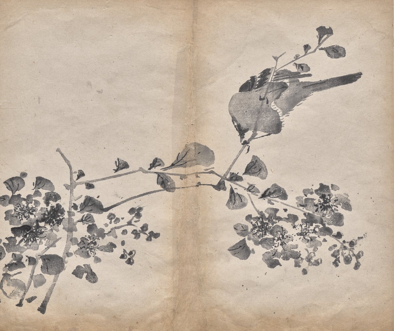 Blomstrer av Unknown artist