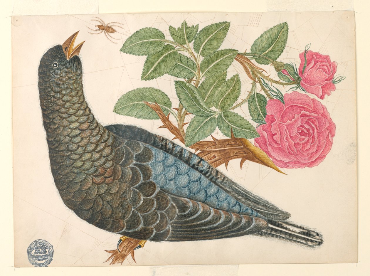 Blå-svart fugl på rosegren med edderkopp av Unknown artist