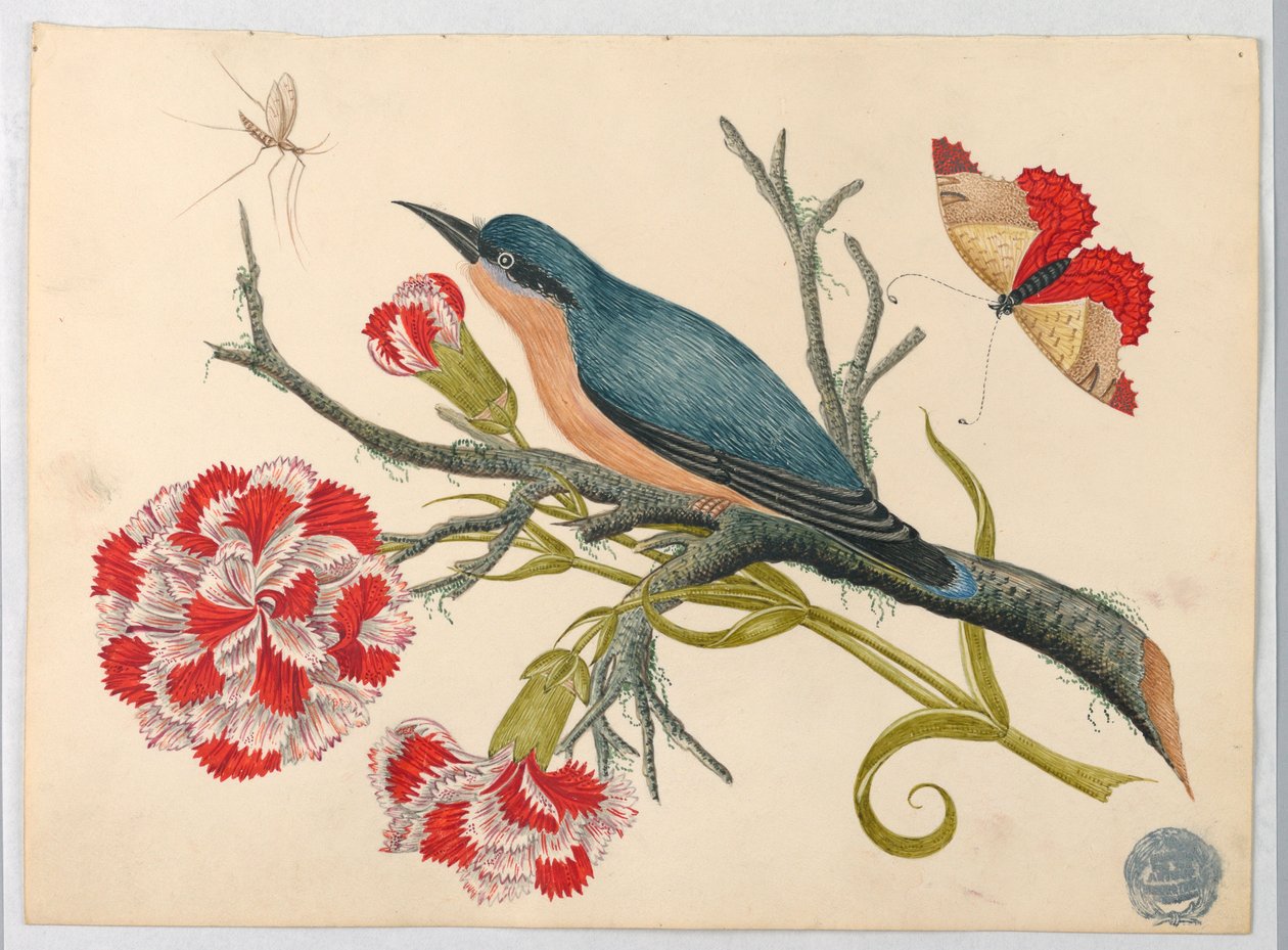 Blå fugl på gren med nelliker og insekter av Unknown artist