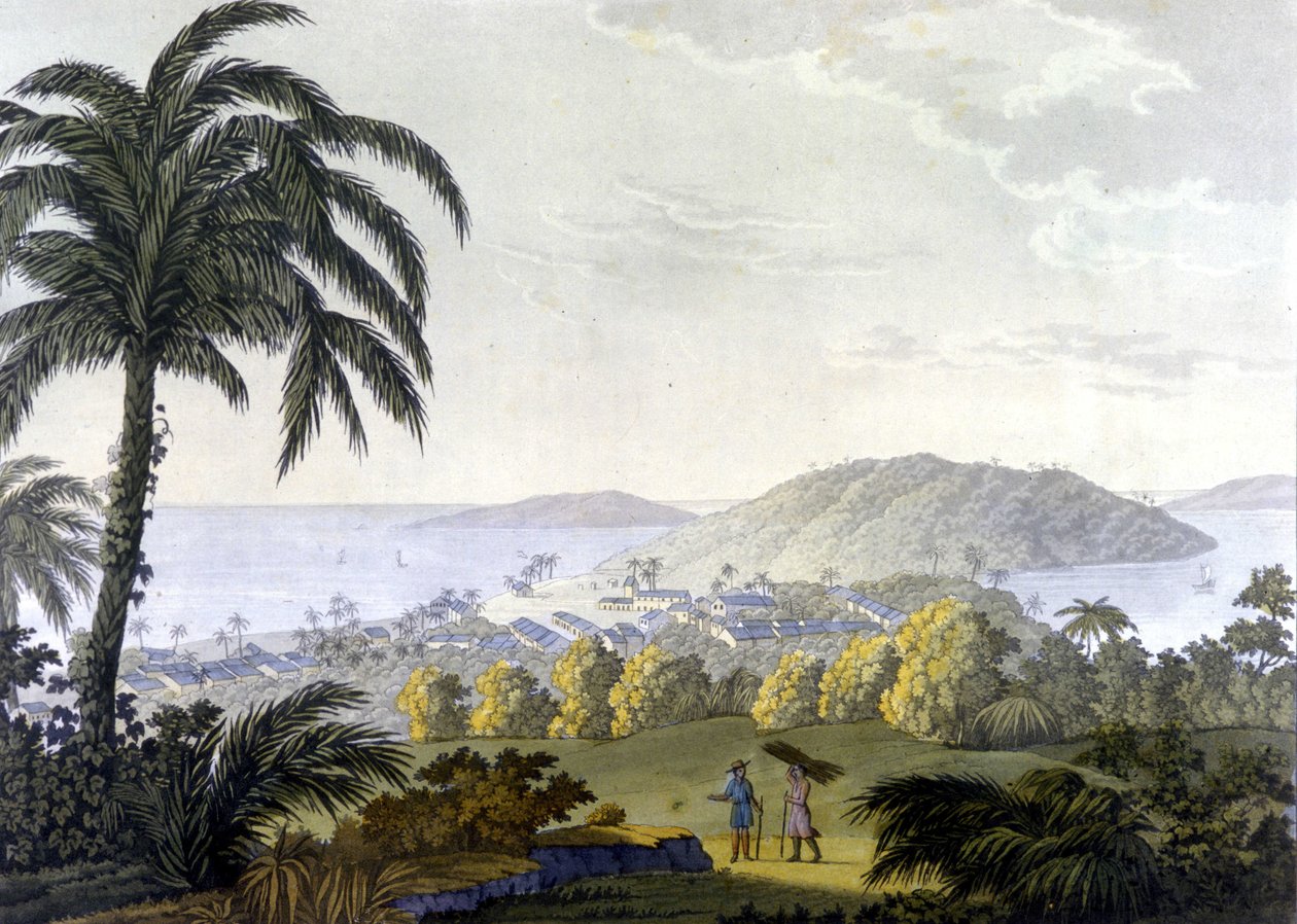 Brasil, utsikt over byen Ilheus i delstaten Bahia av Unknown artist