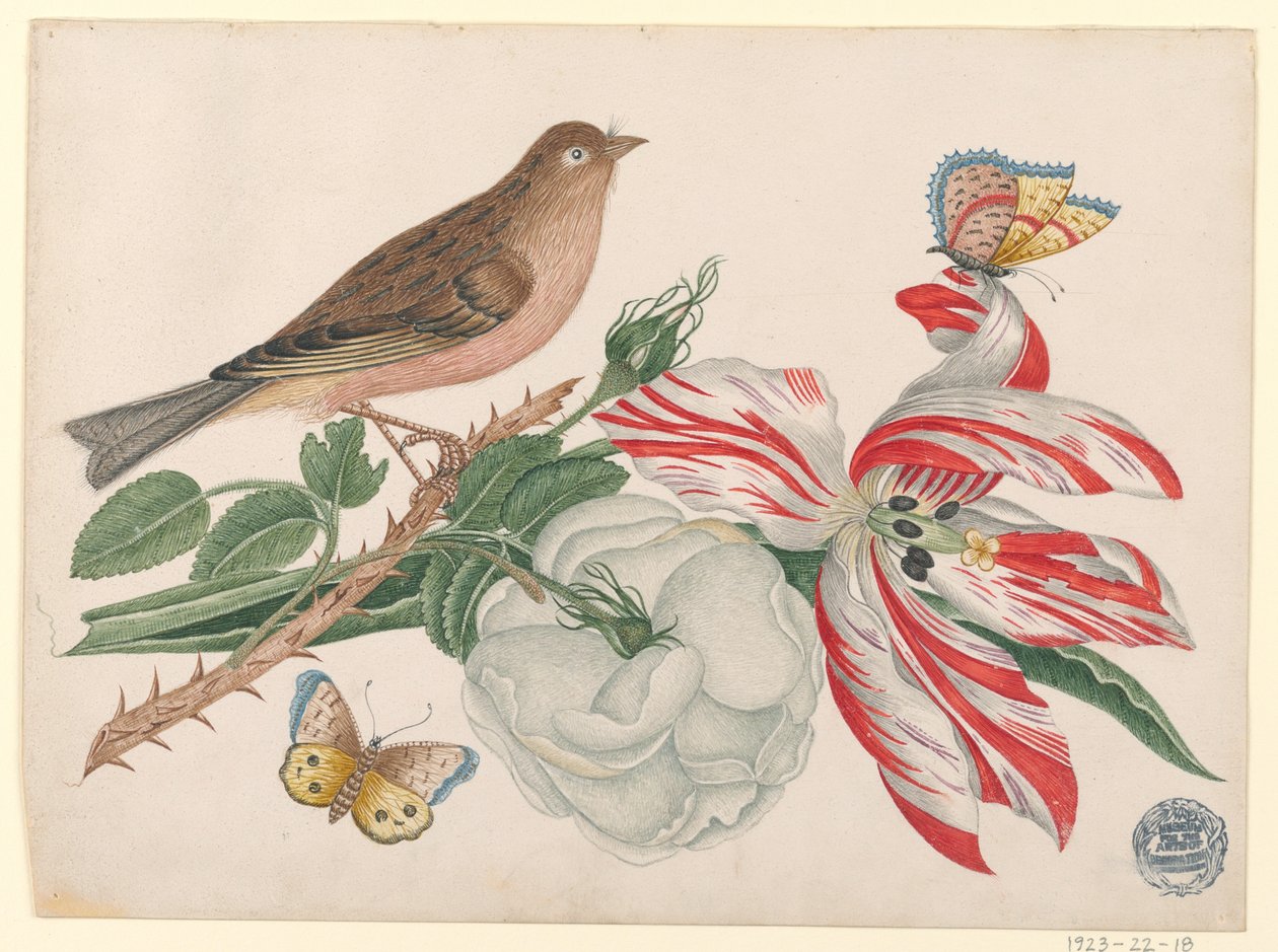 Brun fugl på gren med rose, tulipan og insekter av Unknown artist